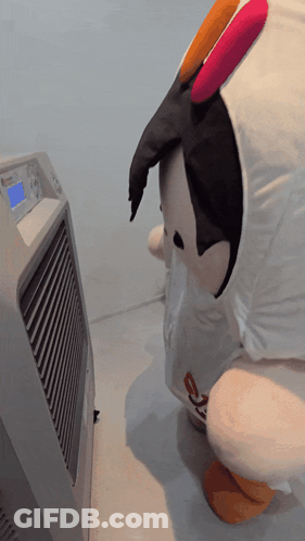 Pouring Water Into Container 3 Reasons You Should Buy This GIF