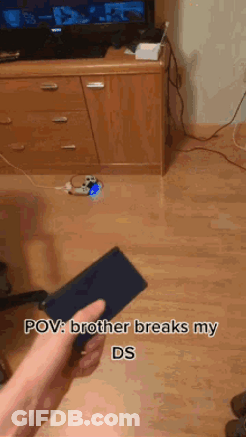 Pov Brother Breaks Nintendo Dual Screen GIF