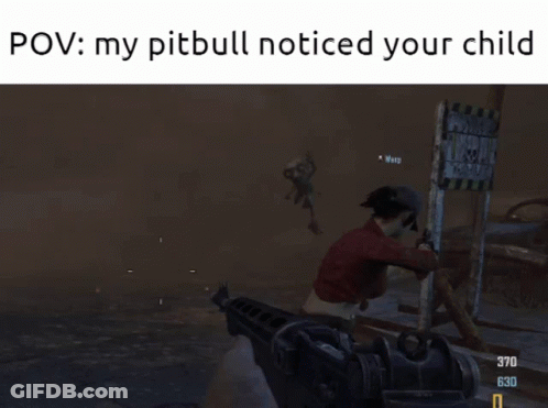 POV My Pitbull Noticed Your Child GIF