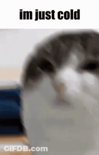 POV X90210 I'm Just Girl GIF
