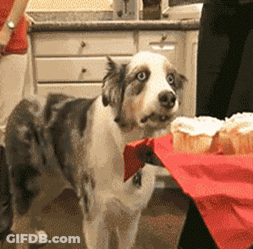 Ppf Lol GIF