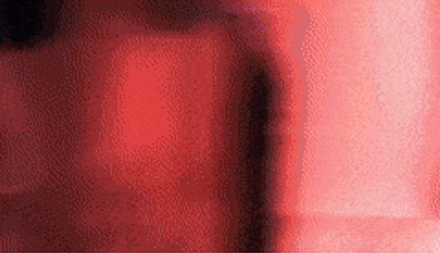 Prada 90S Campaign GIF