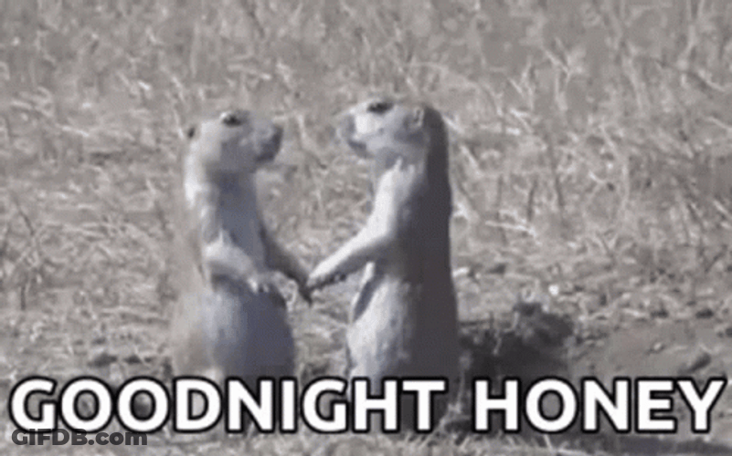 Prairie Dog GIF