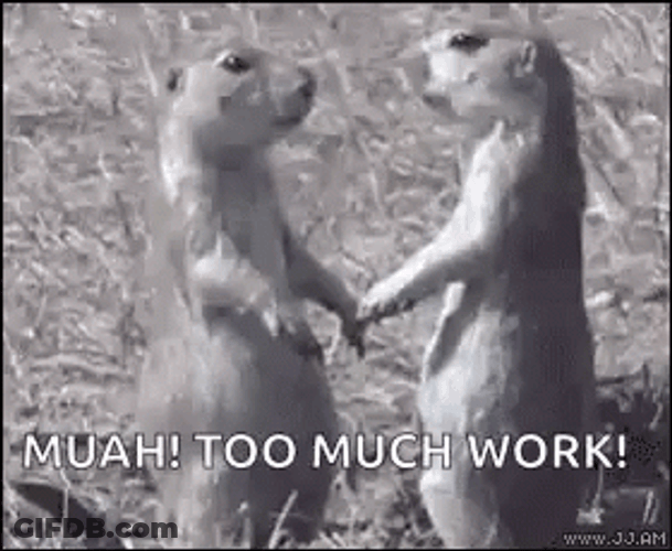 Prairie Dog GIF