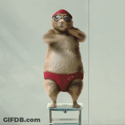 Prairie Dogs Begging Dance GIF