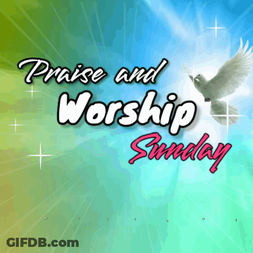 Praise And Worship Sunday Dove Poster GIF