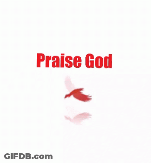 Praise God Bird Flying GIF