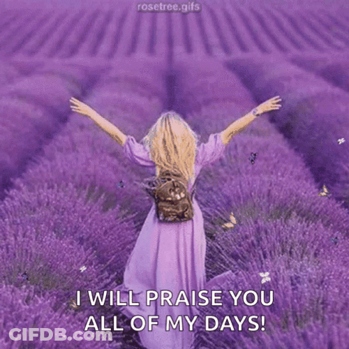 Praise The Lord Lavender Field GIF