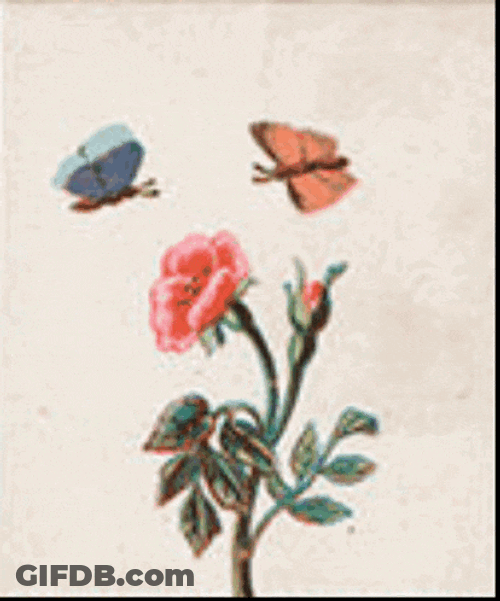 Praxinoscope Victorian GIF