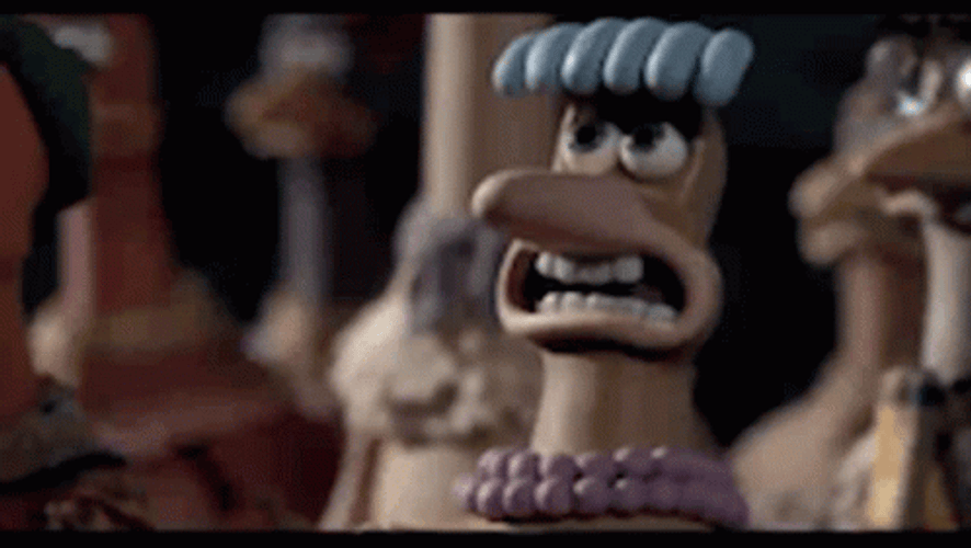 Prayer Chicken Run GIF