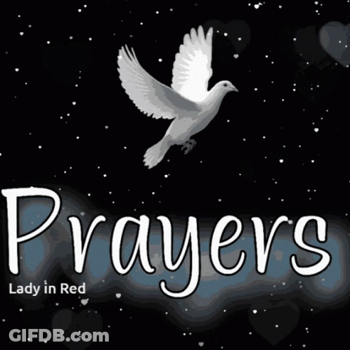 Prayers Lady In Red With Dove And Hearts GIF