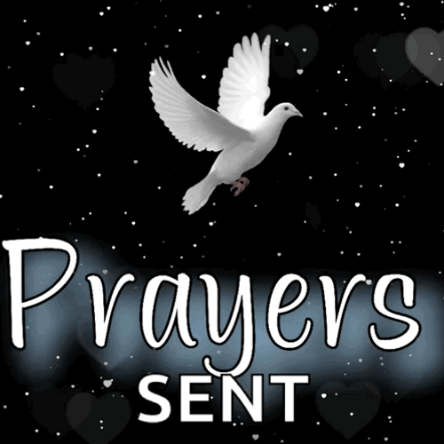 Prayers Sent Dove Flying GIF