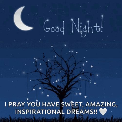 Praying For Good Night And Blessing In Life GIF