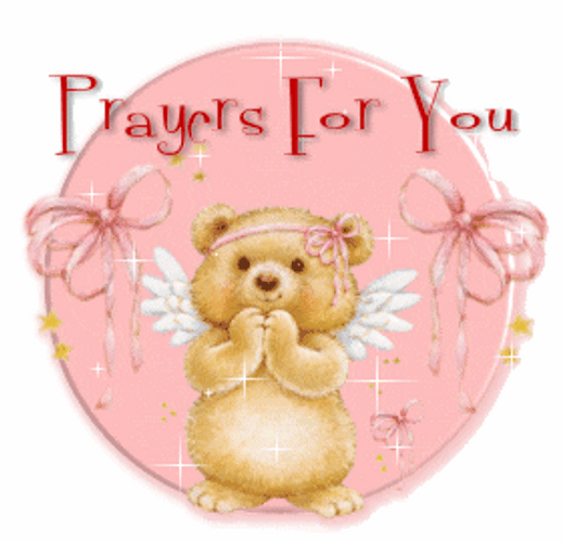Praying For You Bear Angel GIF