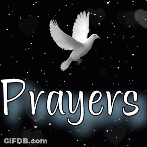 Praying For You Peace Dove On Shimmering Sky GIF