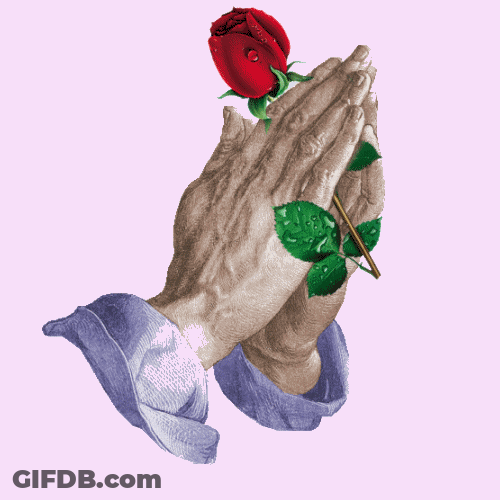 Praying Hands Red Rose Crying GIF