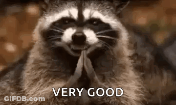 Praying Smiling Raccoon GIF