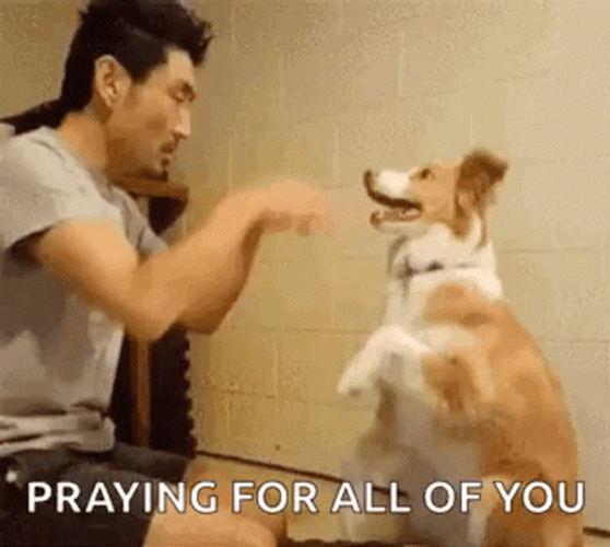Praying With Dog GIF