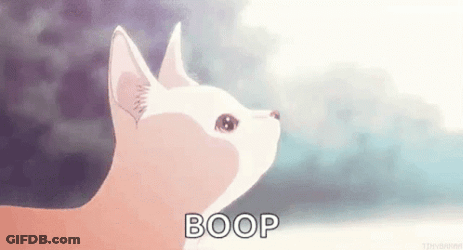 Precious Kitty Receiving Gentle Boop GIF