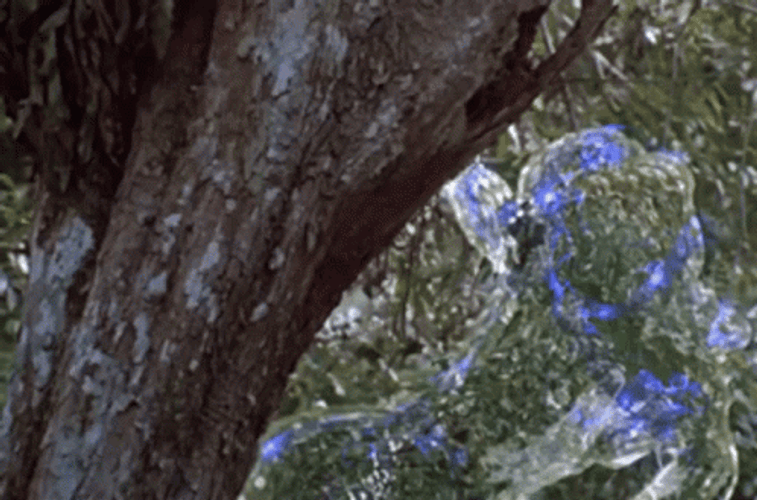 Predator Jungle Hunter Invisible GIF
