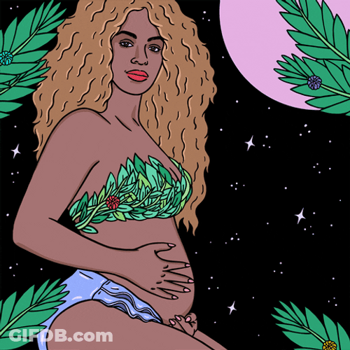 Pregnant Beyonce Flowers GIF