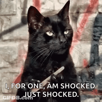 Pregnant Woman Sitting With Hands On Belly GIF