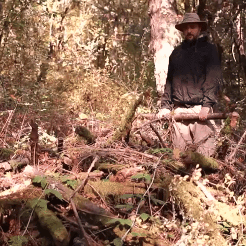 Preparing Wood Fire GIF