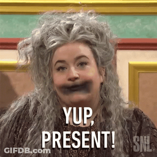 Present Aidy Bryant SNL GIF