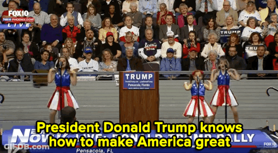 President Donald Trump Dancing GIF