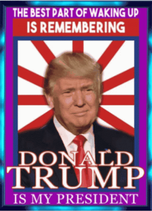 President Donald Trump Of America Meme GIF