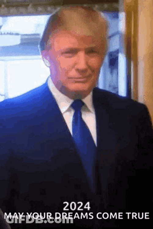 President Donald Trump Thumbs Up GIF