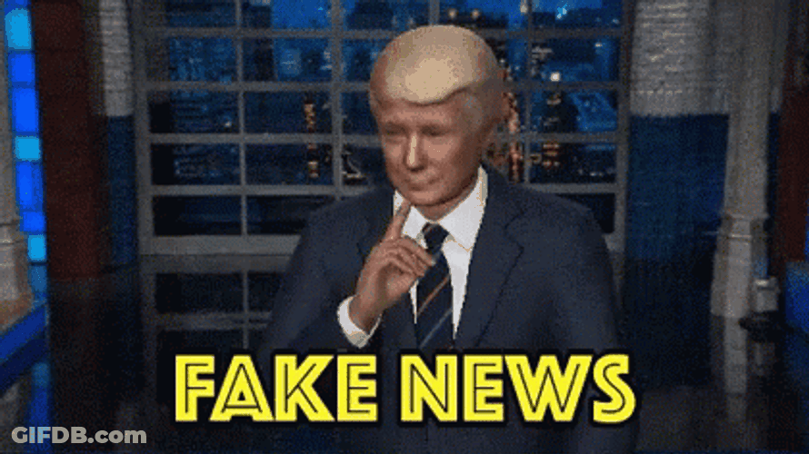 President Donald Trump Wrong Fake News GIF