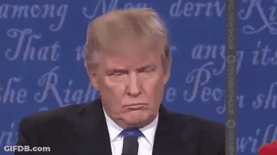 President Donald Trump Wrong Nodding Serious Reaction GIF
