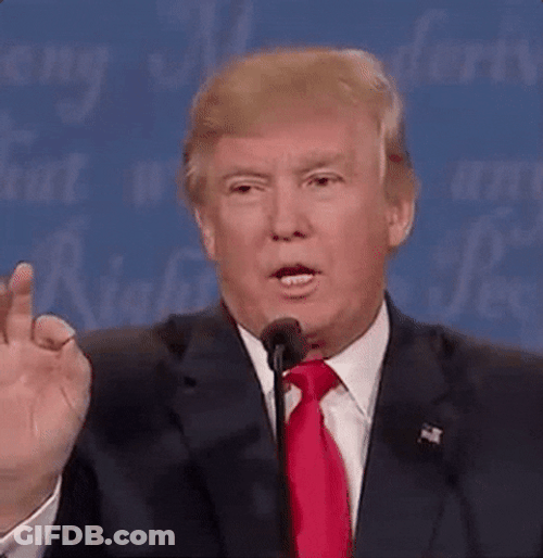 President Donald Trump Wrong Pointing Up GIF