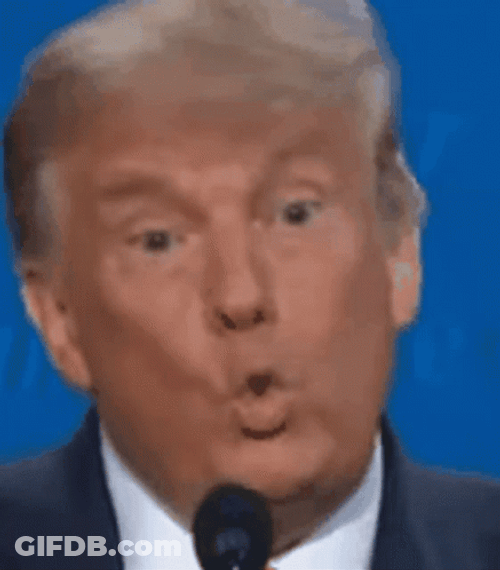 President Donald Trump Wrong Pout Mouth GIF