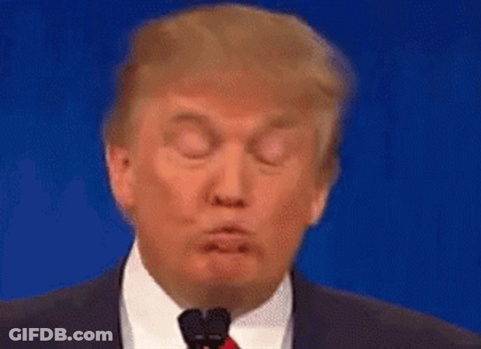 President Donald Trump Wrong Pouting Lips Moving Head GIF