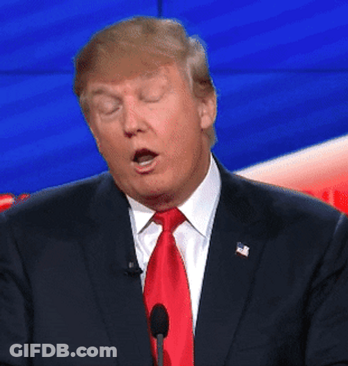 President Donald Trump Wrong Sarcastic Reaction GIF