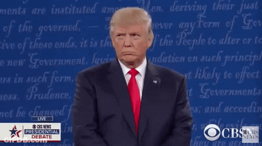 President Donald Trump Wrong Serious Vow GIF