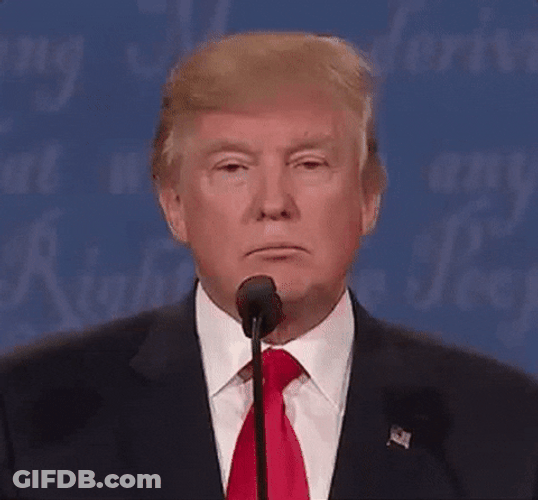 President Donald Trump Wrong Smile Nodding GIF