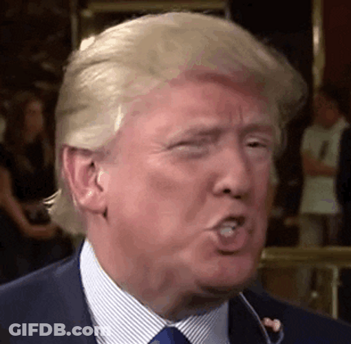 President Donald Trump Wrong Speaking Smile GIF