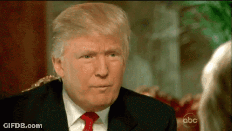 President Donald Trump Wrong Touching Hair GIF