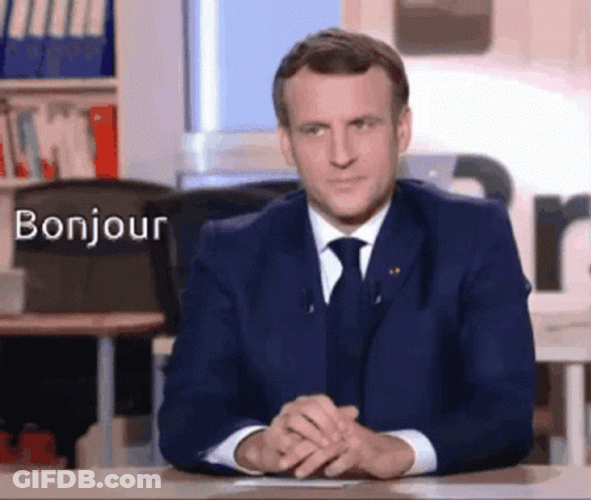 President Emmanuel Macron Bonjour GIF