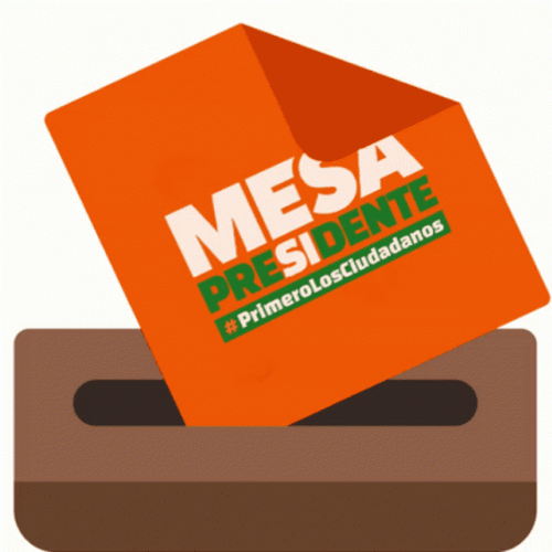 President Mesa In Bolivia Ballot GIF