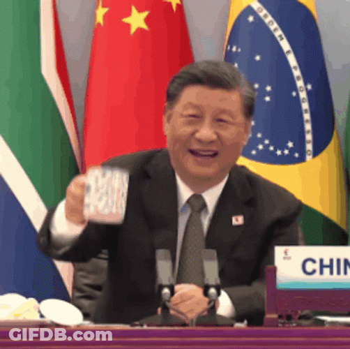 President Of China Xi Jinping GIF