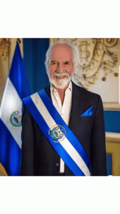 President Of El Salvador GIF