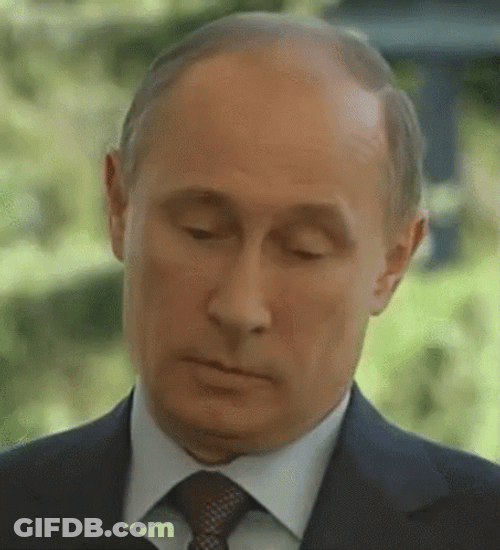 President Vladimir Putin Serious Reaction GIF