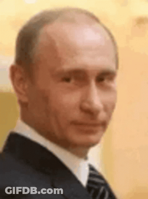 President Vladimir Putin Wink GIF
