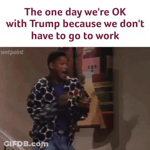 Presidents Day Trump Meme GIF