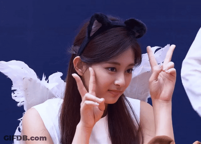 Pretty Cat Angel Twice Tzuyu GIF