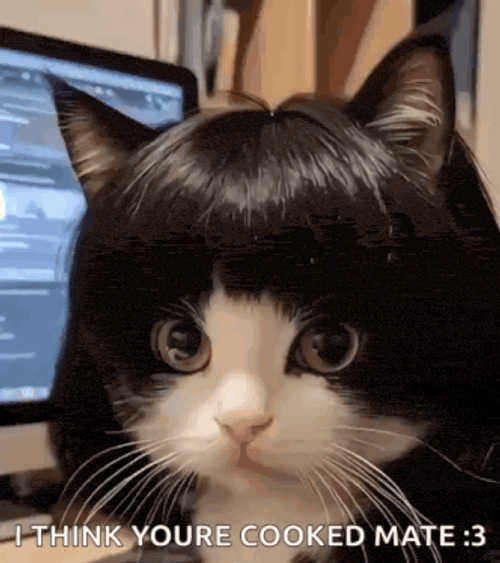 Pretty Cat Pretty Girl GIF